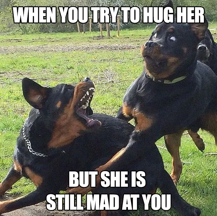 Trying For A Hug