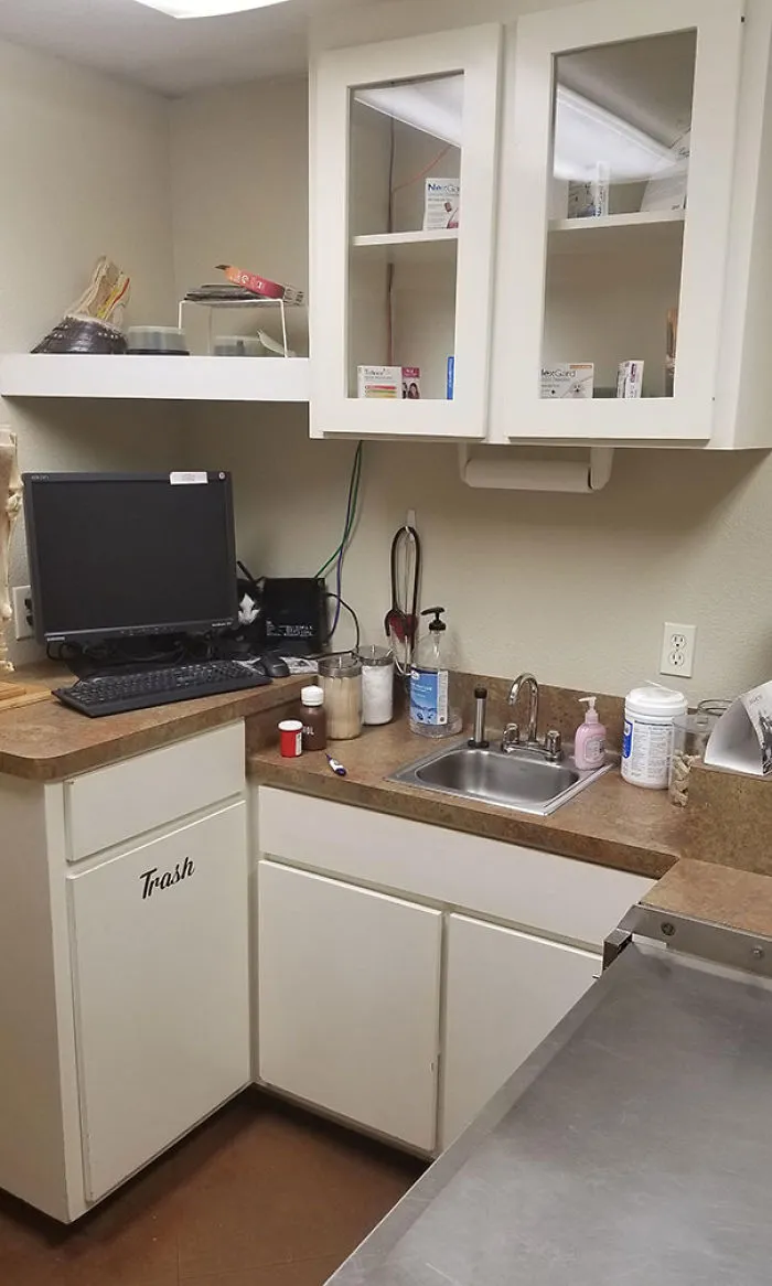 Nervous Kitty At The Vet - Can You Spot Him?