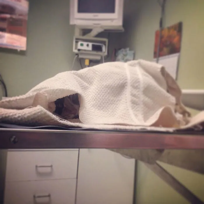No One Can See Her