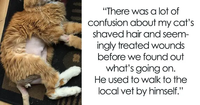 118 Of The Most Unbelievably Smart Things Animals Have Done That Surprised People
