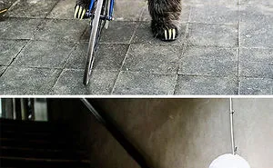 50 Of The Best Halloween Costume Ideas We've Ever Seen