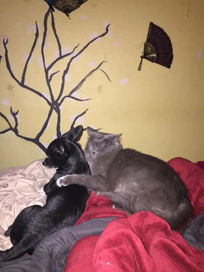 Bff’s