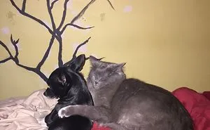 Bff’s