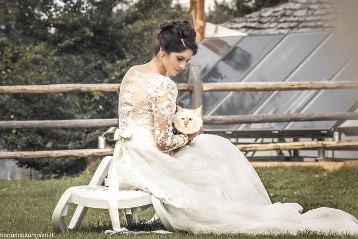I Capture The Magical Post-Wedding Moments Of Newly-Weds And Their Cats (Part 2)