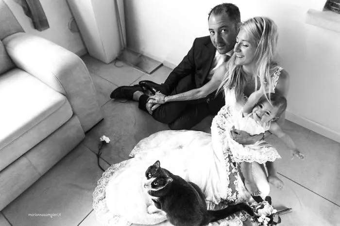 I Capture The Magical Post-Wedding Moments Of Newly-Weds And Their Cats (Part 2)