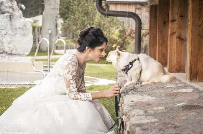 I Capture The Magical Post-Wedding Moments Of Newly-Weds And Their Cats (Part 2)