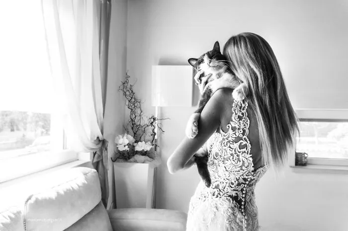 I Capture The Magical Post-Wedding Moments Of Newly-Weds And Their Cats (Part 2)