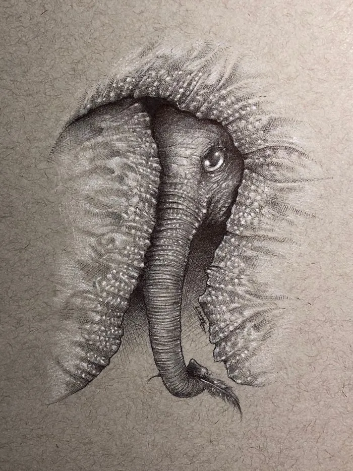 Dumbo