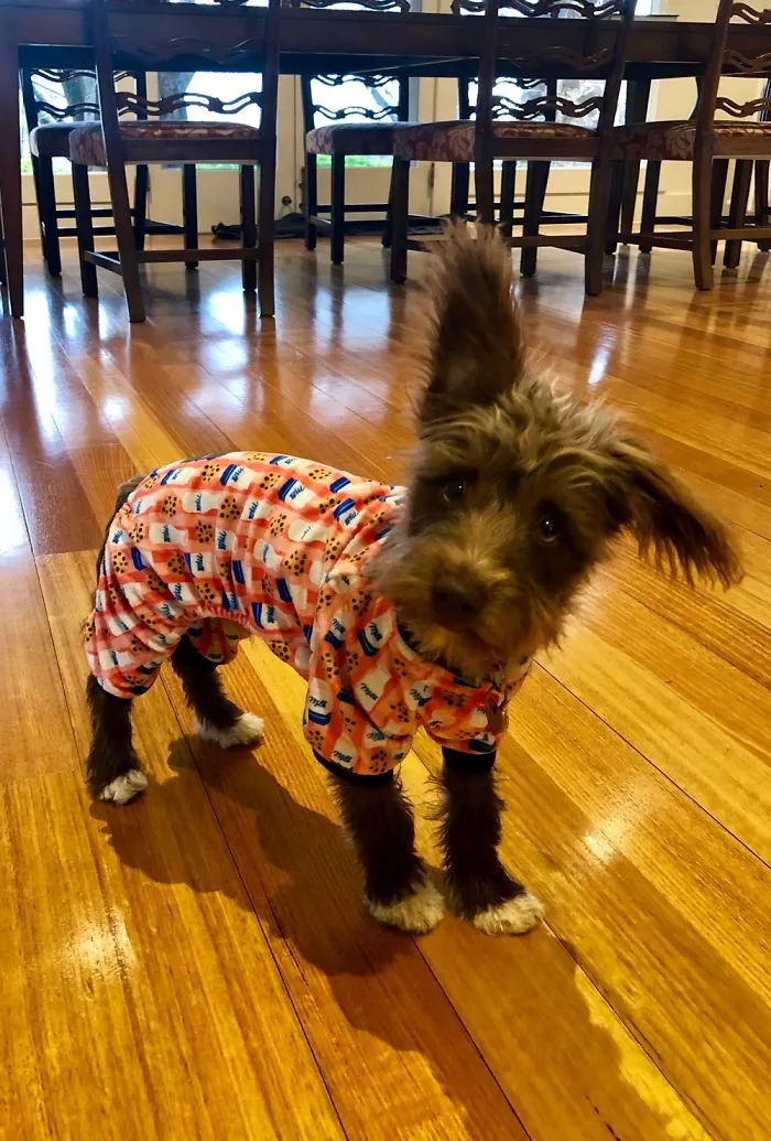 In My Pj’s