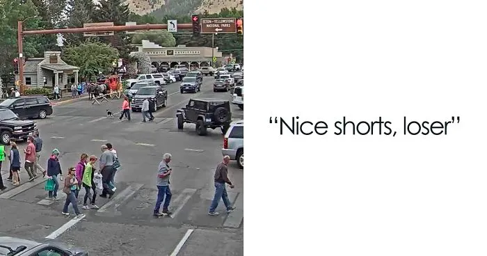 People Come Together To Watch A Stream Of A Small Towns Intersection, And It's More Entertaining Than You'd Think