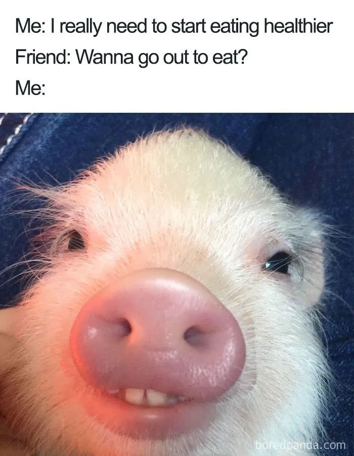 Going Out To Eat