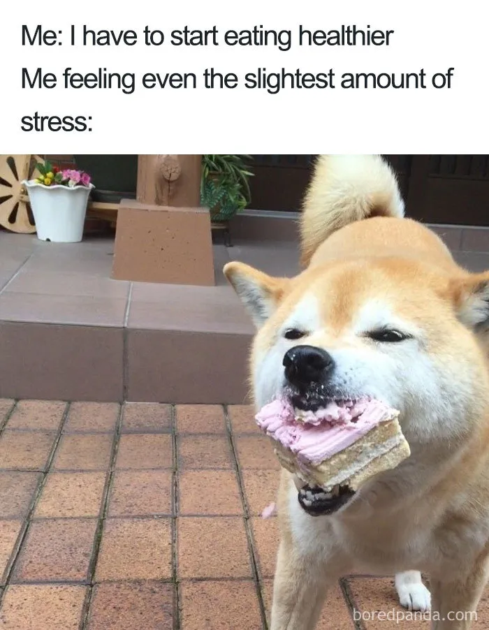 Stress Eating
