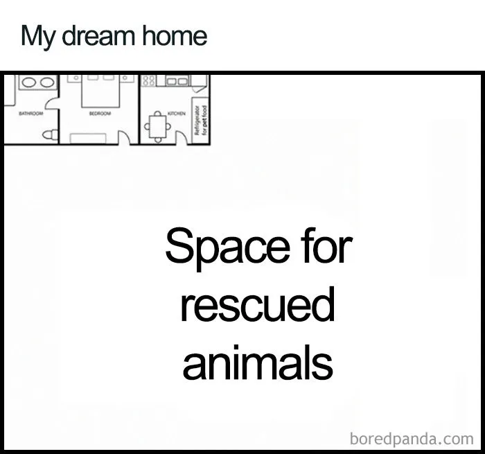 Dream Home