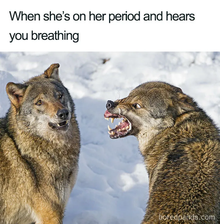 Period Moods