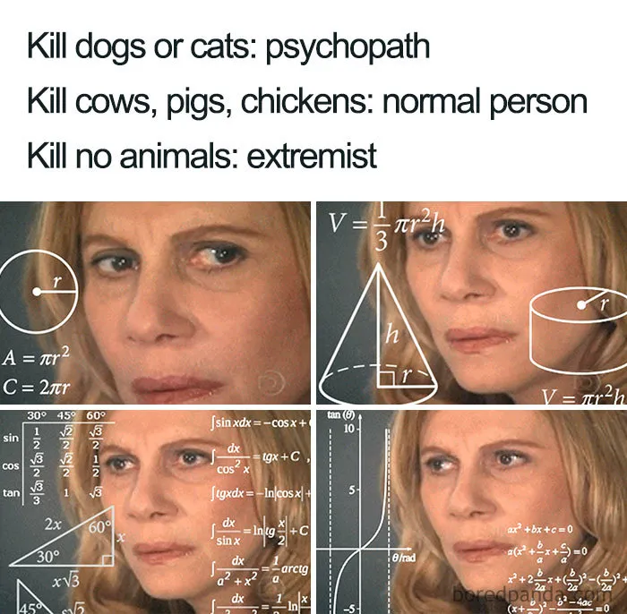 Explanations Needed