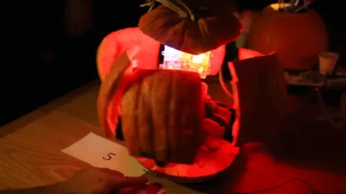 Nasa Pumpkin