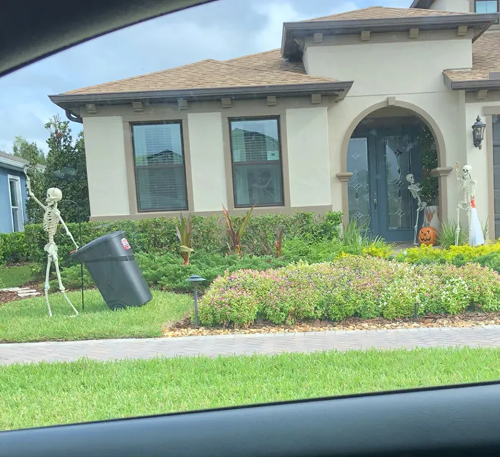 Esta chica se dio cuenta de que los esqueletos de Halloween de sus vecinos cambian cada día, y es divertidísimo