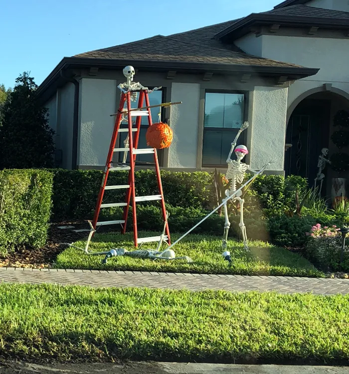 Esta chica se dio cuenta de que los esqueletos de Halloween de sus vecinos cambian cada día, y es divertidísimo