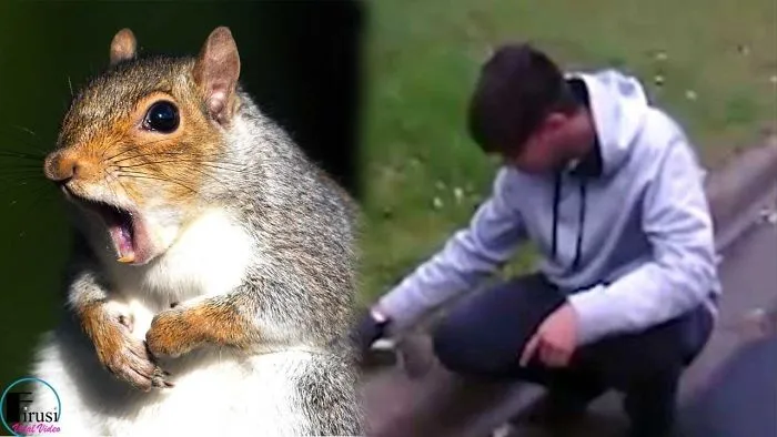 Driver Runs Over A Squirrel, Then Revives It With Cpr