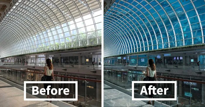I Turned Singapore Into An Underwater Haven