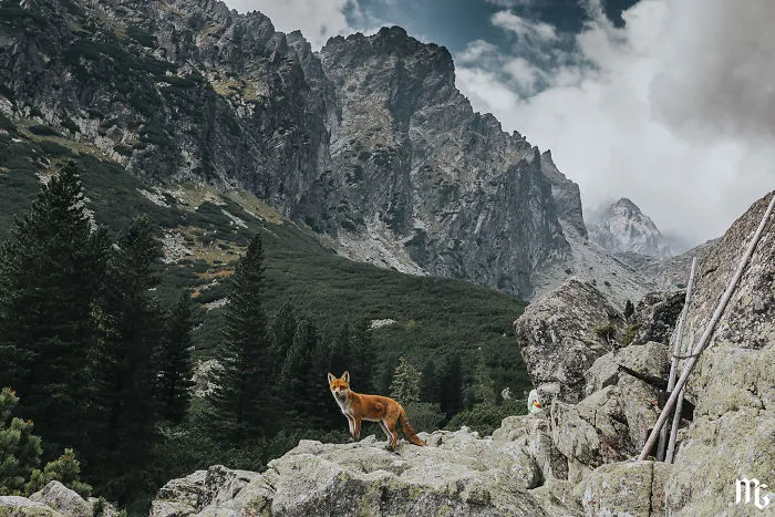 I Went To The Slovakian Tatras With My Girlfriend And Her Family, And What I Saw Took My Breath Away (34 Pics)