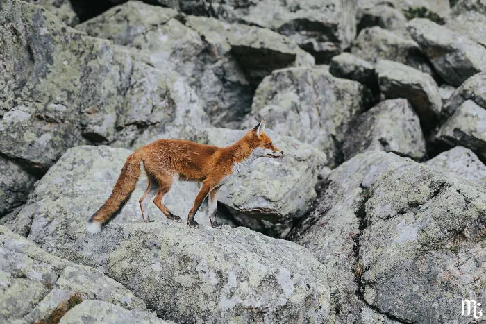 I Went To The Slovakian Tatras With My Girlfriend And Her Family, And What I Saw Took My Breath Away (34 Pics)