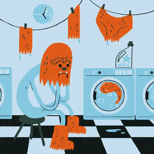 Star Wash