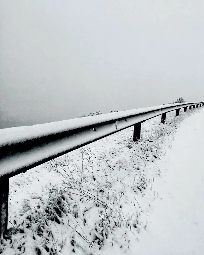 Photographer Captures The Quiet Beauty Of Stillness