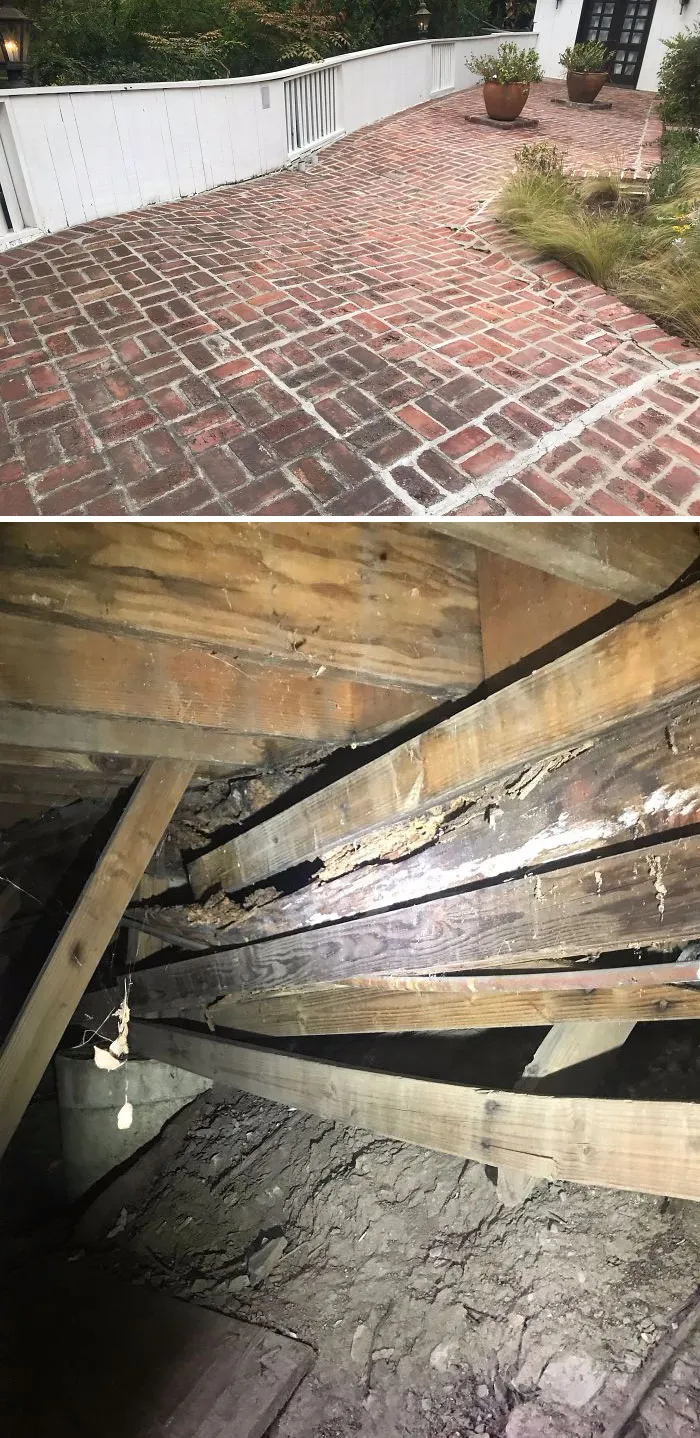 175 Worst Things Seen During Structural Inspections