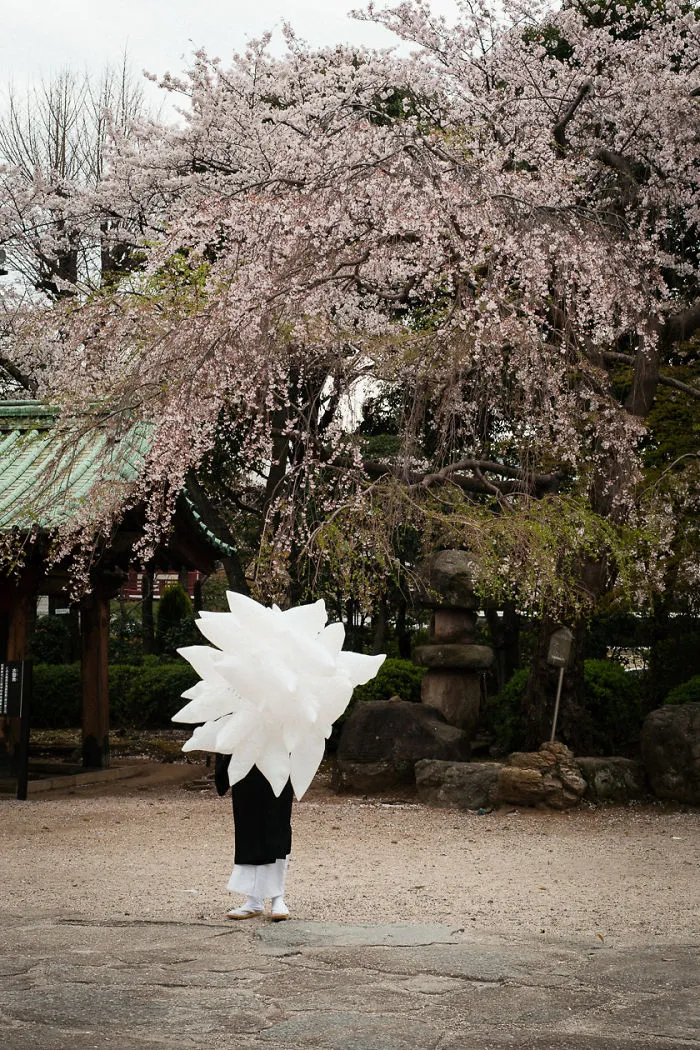 40 Momentos extraordinarios y poco convencionales de la vida diaria en Japón, por Shin Noguchi