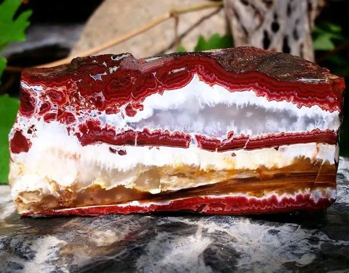 He visto esta roca y pensaba que era tarta de queso
