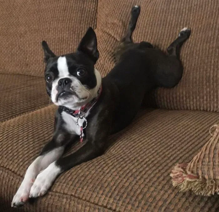 This Is How Legs Work