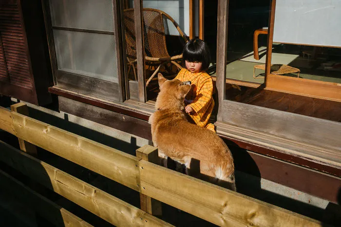 40 Momentos extraordinarios y poco convencionales de la vida diaria en Japón, por Shin Noguchi