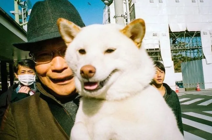 40 Momentos extraordinarios y poco convencionales de la vida diaria en Japón, por Shin Noguchi