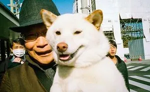 50 Quirky And Extraordinary Moments Of Everyday Life In Japan By Shin Noguchi