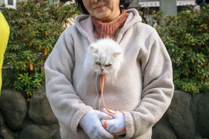 40 Momentos extraordinarios y poco convencionales de la vida diaria en Japón, por Shin Noguchi