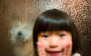 50 Quirky And Extraordinary Moments Of Everyday Life In Japan By Shin Noguchi