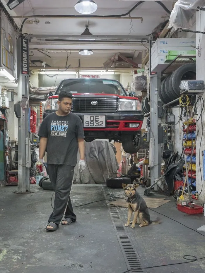 Dogs Living In Hong Kong’s Car Workshops In 22 Pictures