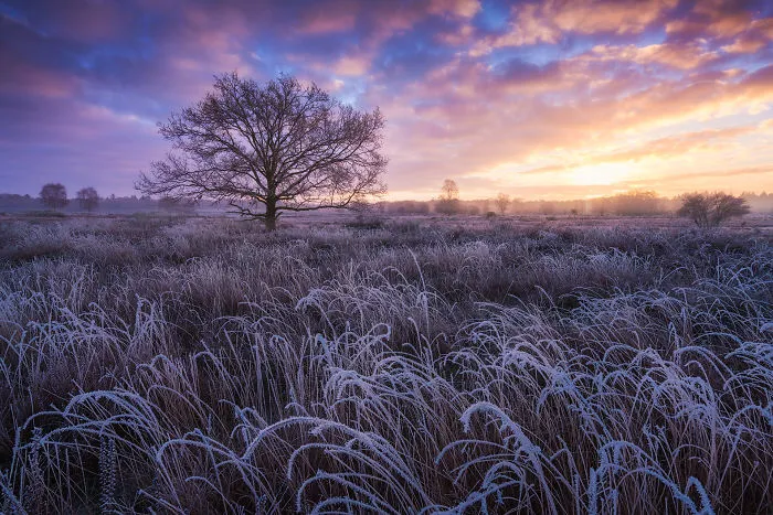 Winter 2016