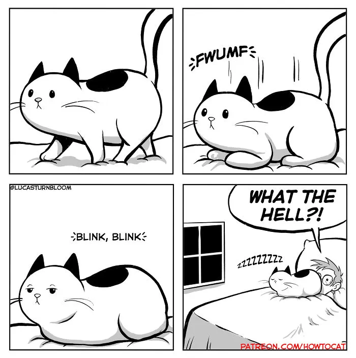 My Wife Insisted That I Put These Comics On The Internet – They’re About A Cat We Rescued (45 New Pics)