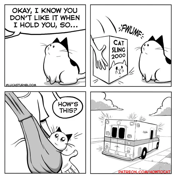 My Wife Insisted That I Put These Comics On The Internet – They’re About A Cat We Rescued (45 New Pics)
