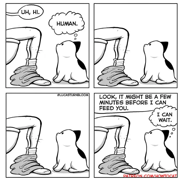 My Wife Insisted That I Put These Comics On The Internet – They’re About A Cat We Rescued (45 New Pics)