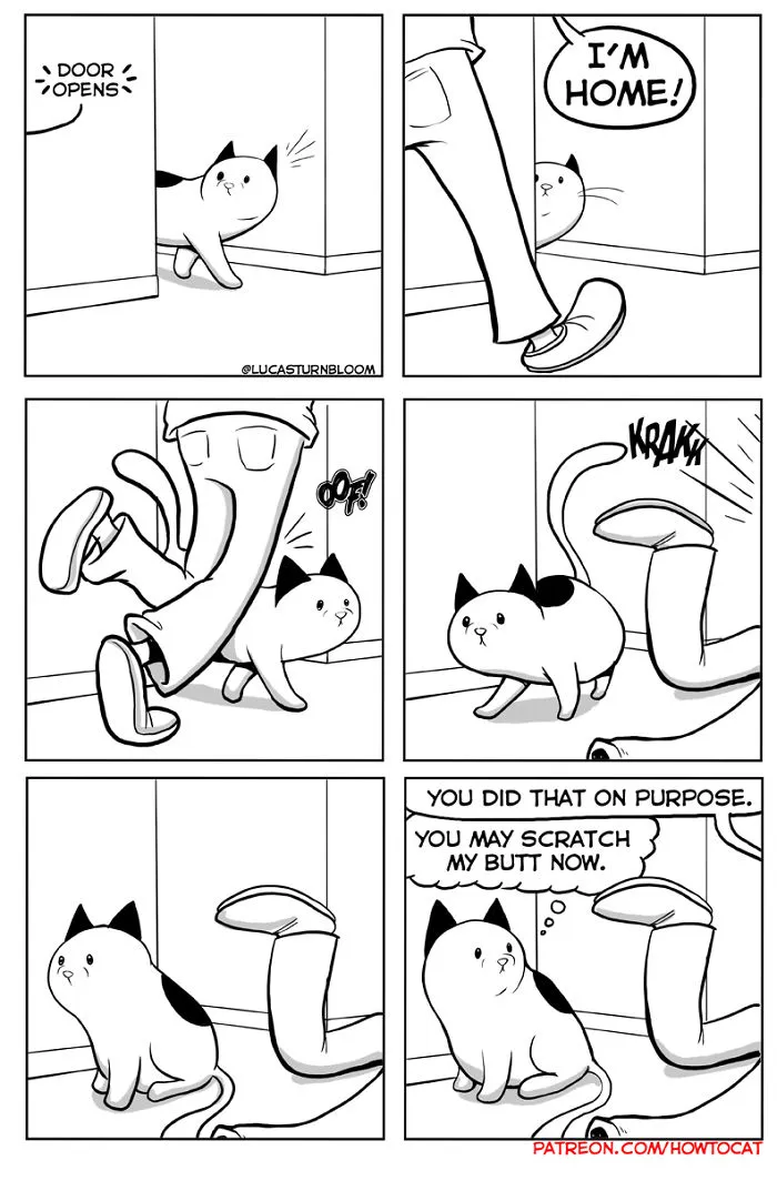 My Wife Insisted That I Put These Comics On The Internet – They’re About A Cat We Rescued (45 New Pics)