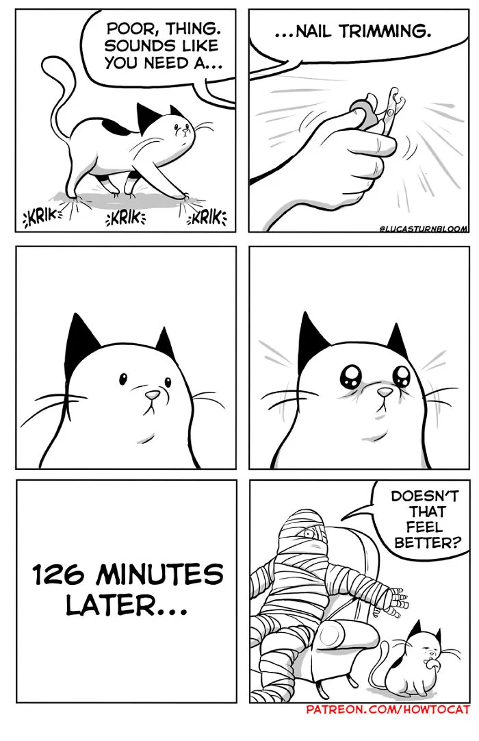 My Wife Insisted That I Put These Comics On The Internet – They’re About A Cat We Rescued (45 New Pics)