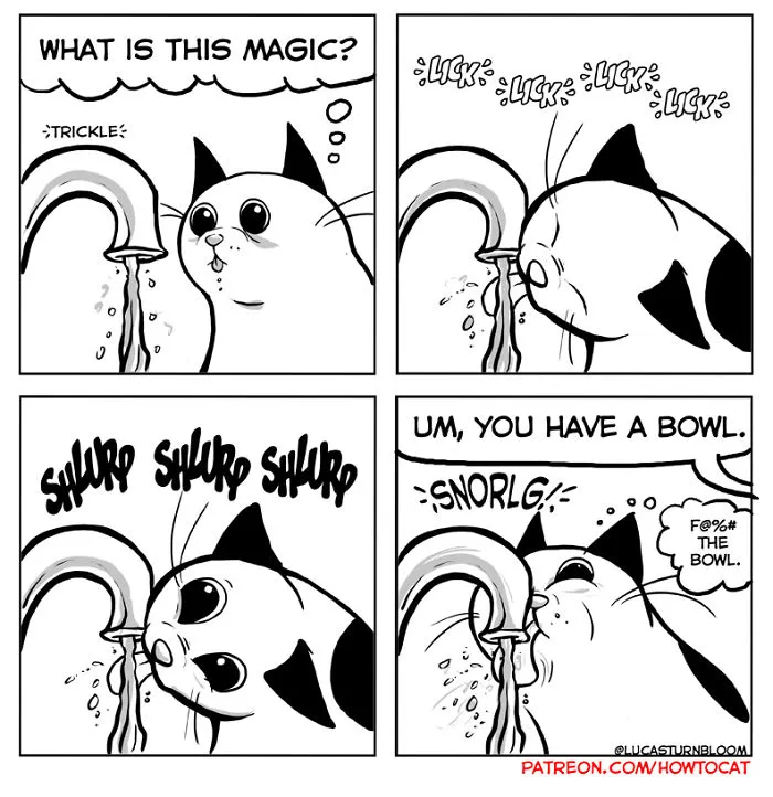 My Wife Insisted That I Put These Comics On The Internet – They’re About A Cat We Rescued (45 New Pics)