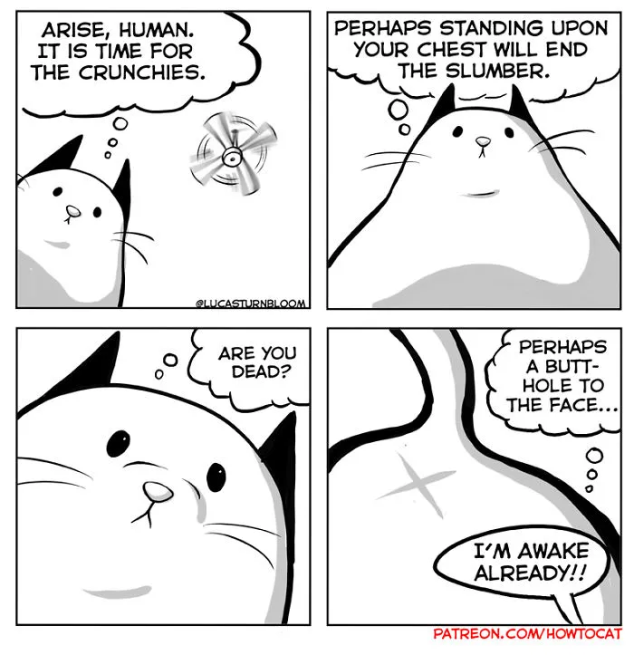 My Wife Insisted That I Put These Comics On The Internet – They’re About A Cat We Rescued (45 New Pics)