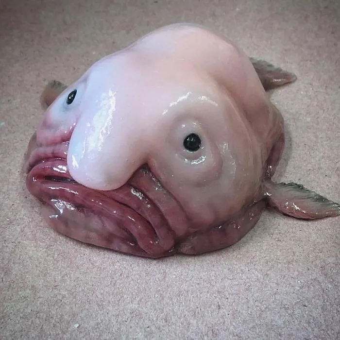 "I'm So Ugly, But That's Okay"