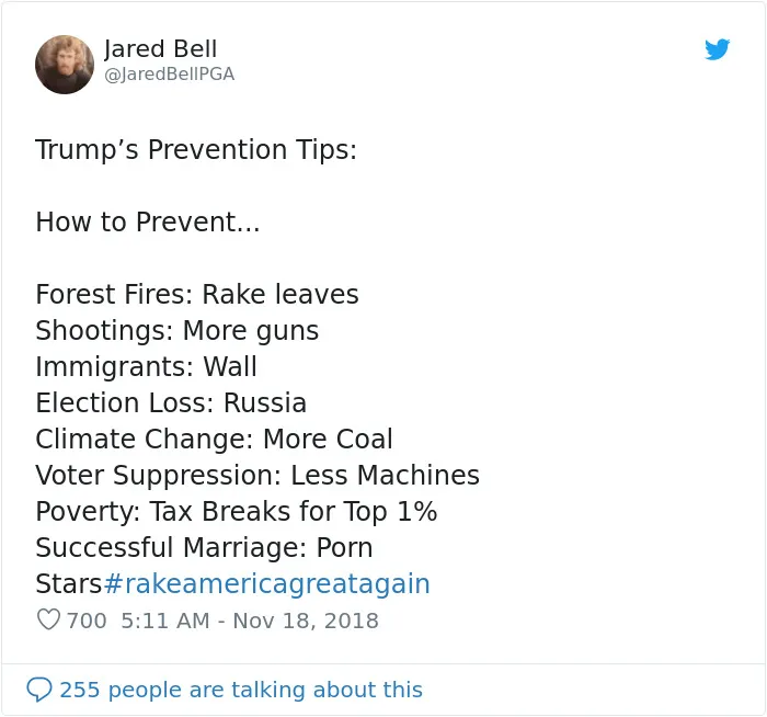 Trump Claims Finland ‘Rakes’ Their Forests To Prevent Fires, And Here Are 43 Of The Best Responses