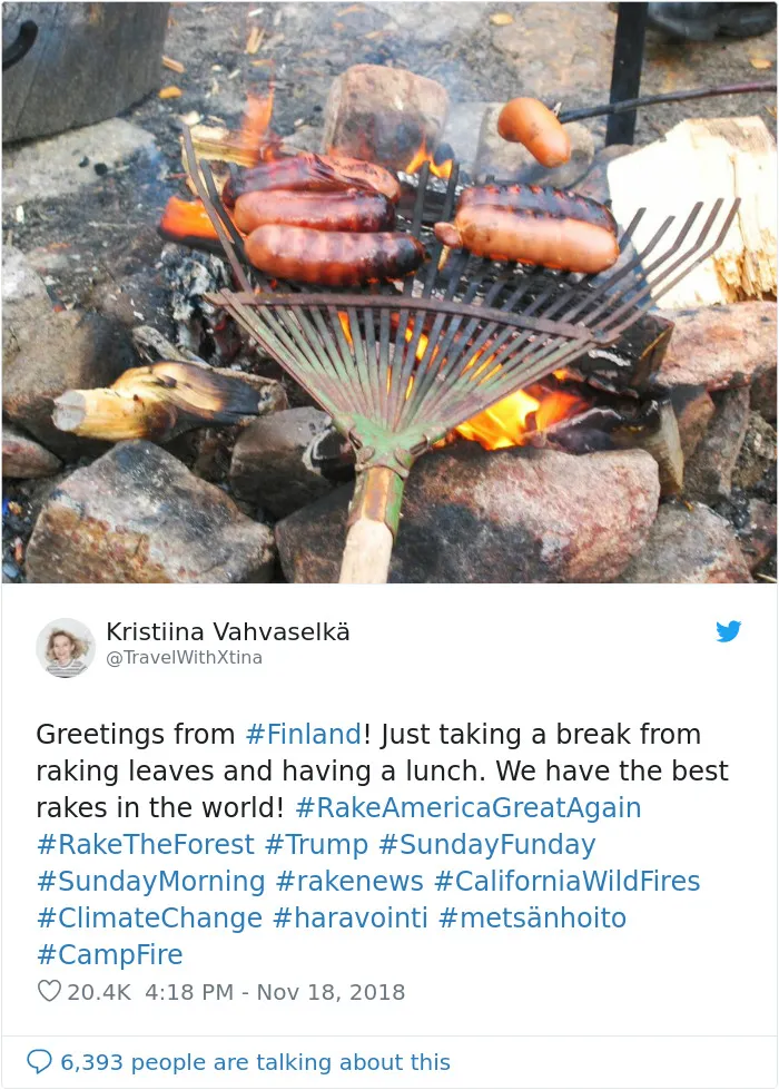 Trump Claims Finland ‘Rakes’ Their Forests To Prevent Fires, And Here Are 43 Of The Best Responses