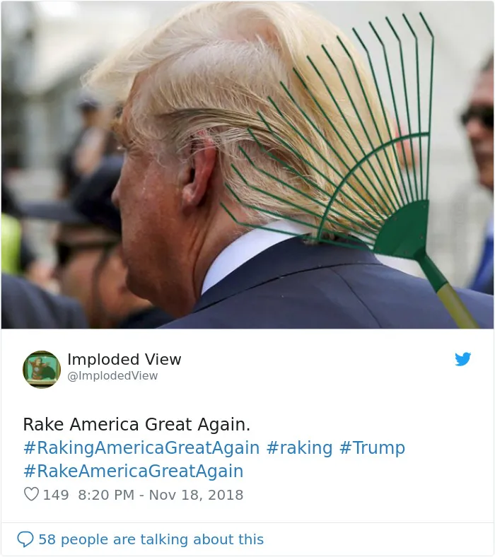 Trump Claims Finland ‘Rakes’ Their Forests To Prevent Fires, And Here Are 43 Of The Best Responses